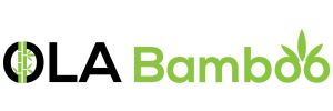 Ola Bamboo