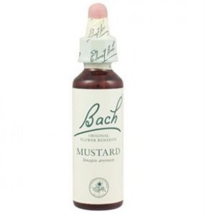 Fleur de Bach MUSTARD 20ml