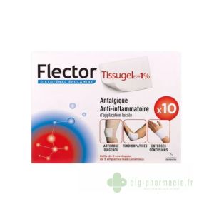 Flector Tissugel x 10