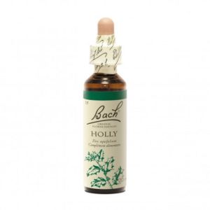 Fleur de Bach HOLLY 20ml