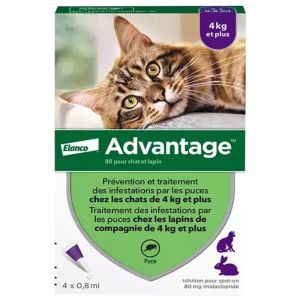 Advantage-80 Chat/Lapin Pipet 4