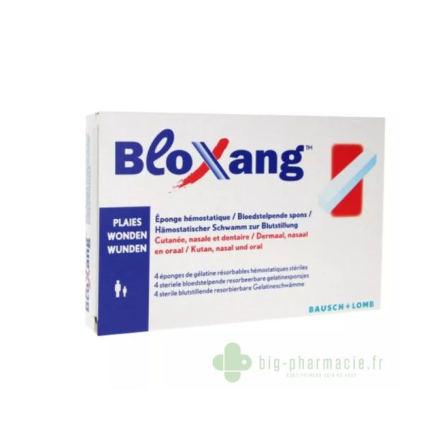 Bloxang Eponges 4 Batonnets