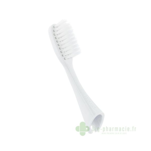 Inava Power - recharge brosse à dents électrique BLANC lot de 2