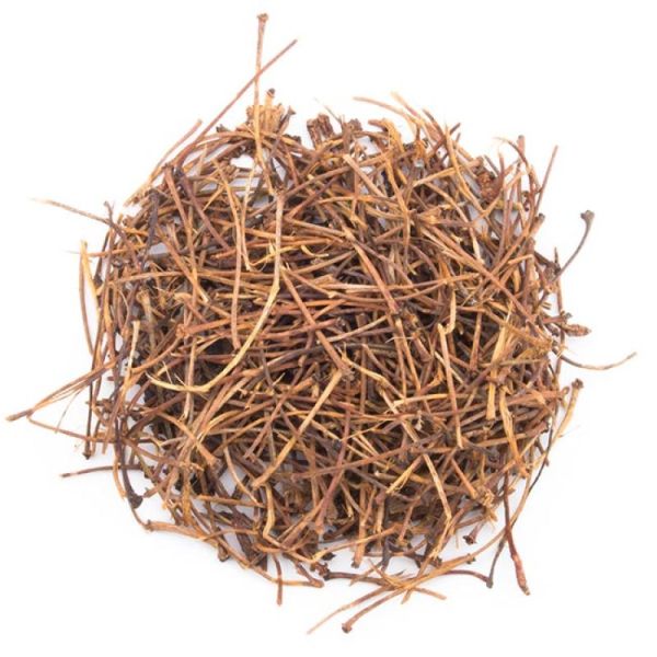 queues de cerise 50g sachet vrac