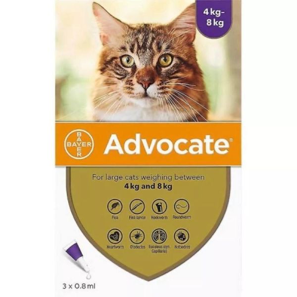 Advocate Chats 4-8kg Boîte de 3 pipettes